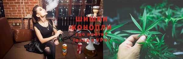 ПСИЛОЦИБИНОВЫЕ ГРИБЫ Алзамай