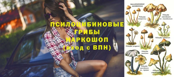 ПСИЛОЦИБИНОВЫЕ ГРИБЫ Алзамай