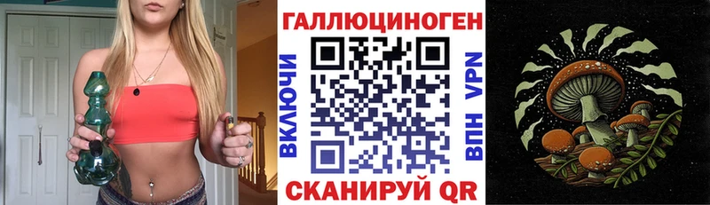 купить наркотики сайты  Кизел  Псилоцибиновые грибы мицелий 